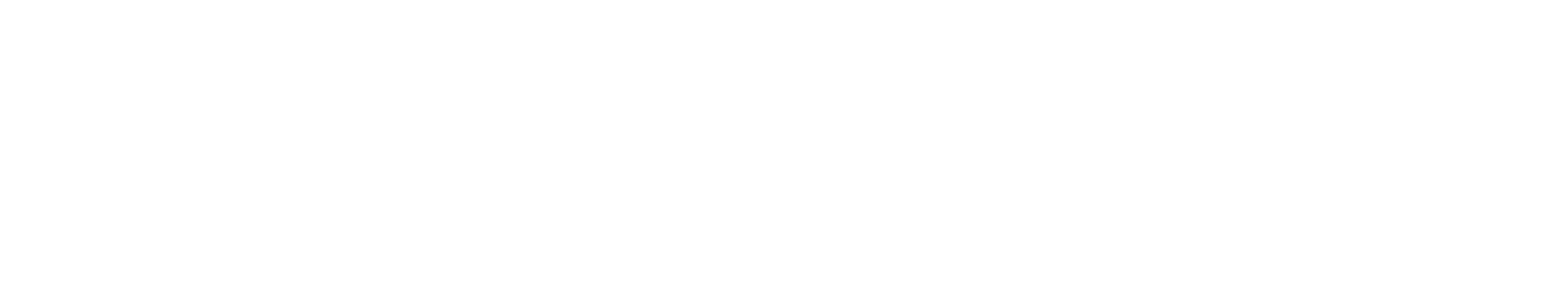 zebra-lanco-v2
